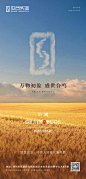 小满地产节气海报