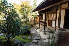 柏轩空间设计采集到A--杂木庭院