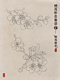 零基础国风桃花形态画法｜植物拆分(线稿 - 小红书