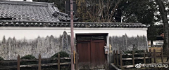 南国帝企鹅采集到场景