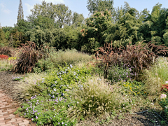 耶博小可爱biu~采集到Landscape丨植物造景