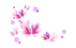ac345982b2b7d0a2ffaf4c2ccbef76094b369a19