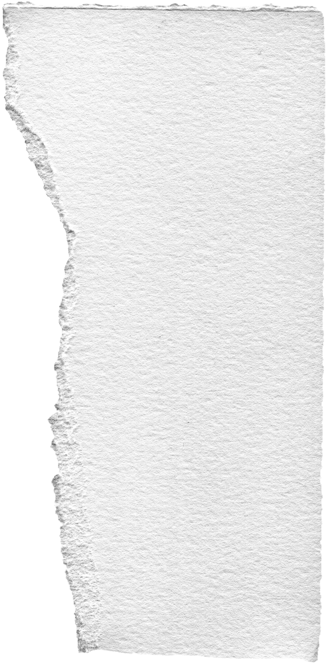 撕纸