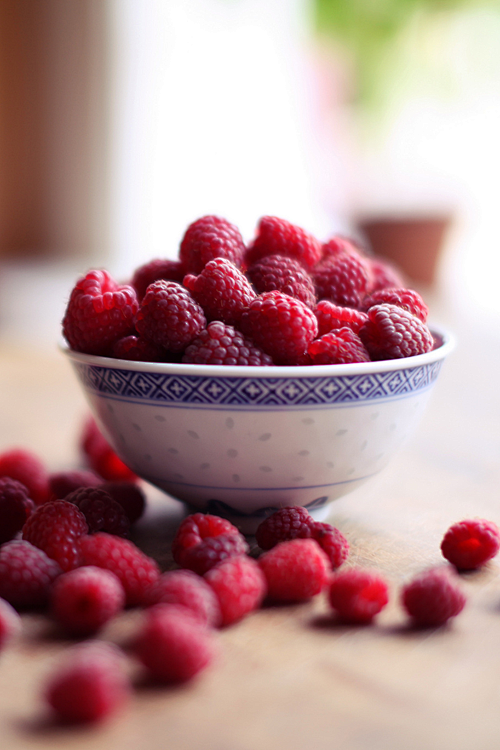 Raspberries | by Fra...