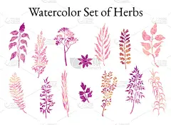 Illustration set of herbs, plants and flowers sket