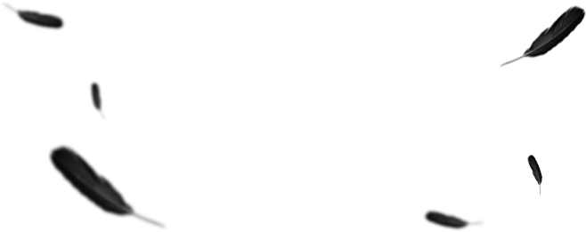 叶-羽毛