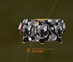 The North Face x Gucci联名系列上市