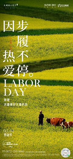 TiOi采集到海报