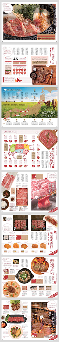 懒猫住楼顶采集到画册