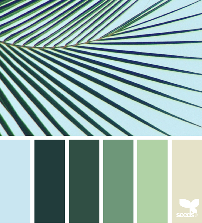 Design Seeds : Your ...