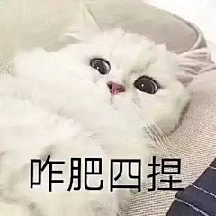 【图片】想要表情包，你们懂的【扒皮吧】_百度贴吧