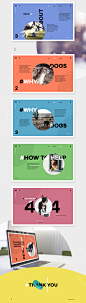 Dogs : This project is about dogs, about the love to the animals. It’s a reminder to all of us about the love that we should give to our four-legged friends.All rights of images are owned by their owners and used only for presentation. Project is non-comm
