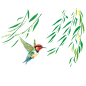 飞鸟垂柳