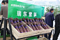 利津县举办乡村振兴特色农产品推介暨“一品益津”品牌发布会_农业