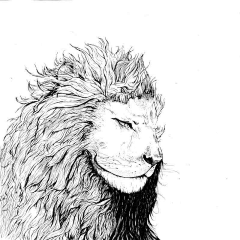 MarkKent采集到线描画