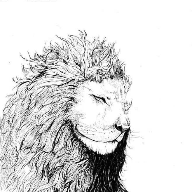 狮子线描