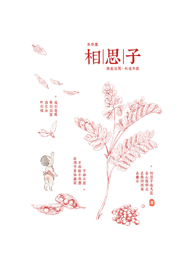 本草集 （已商用）_一杯三__插画师作品...