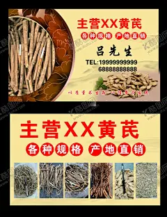 主营黄芪名片 【酷图网】主营黄芪名片,中药材名片,黄芪,药材名片,名片模版
