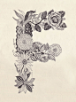 Alphabet : A to L (monochrome) : Drawing with the oiliness ball-point pen.