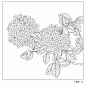 白描画谱：花卉白描