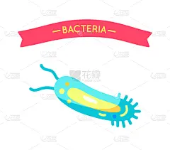 微生物,细菌,细胞,生物学,微生物学,健康保健,小的,鞭毛,动物