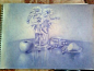 《励志：一周一画》第四期：草本植物 优秀作业