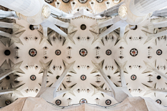freeimage采集到kaleidoscope