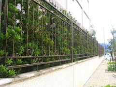 嘣蹦崩采集到围墙
