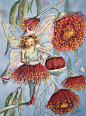  Fairy- Silver Princess Gum Blossom (Australian Bush Flower)  by Carol Avery : Watercolour on Arches Cold Press paper 300gsm, Winsor& Newton paints