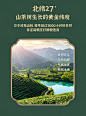 【青蛙王子山茶油系列】青蛙王子 婴儿山茶油洗发水沐浴露 洗发沐浴二合一 婴儿宝宝沐浴露洗发水 山茶油洗发沐浴露 350ml【行情 报价 价格 评测】-京东