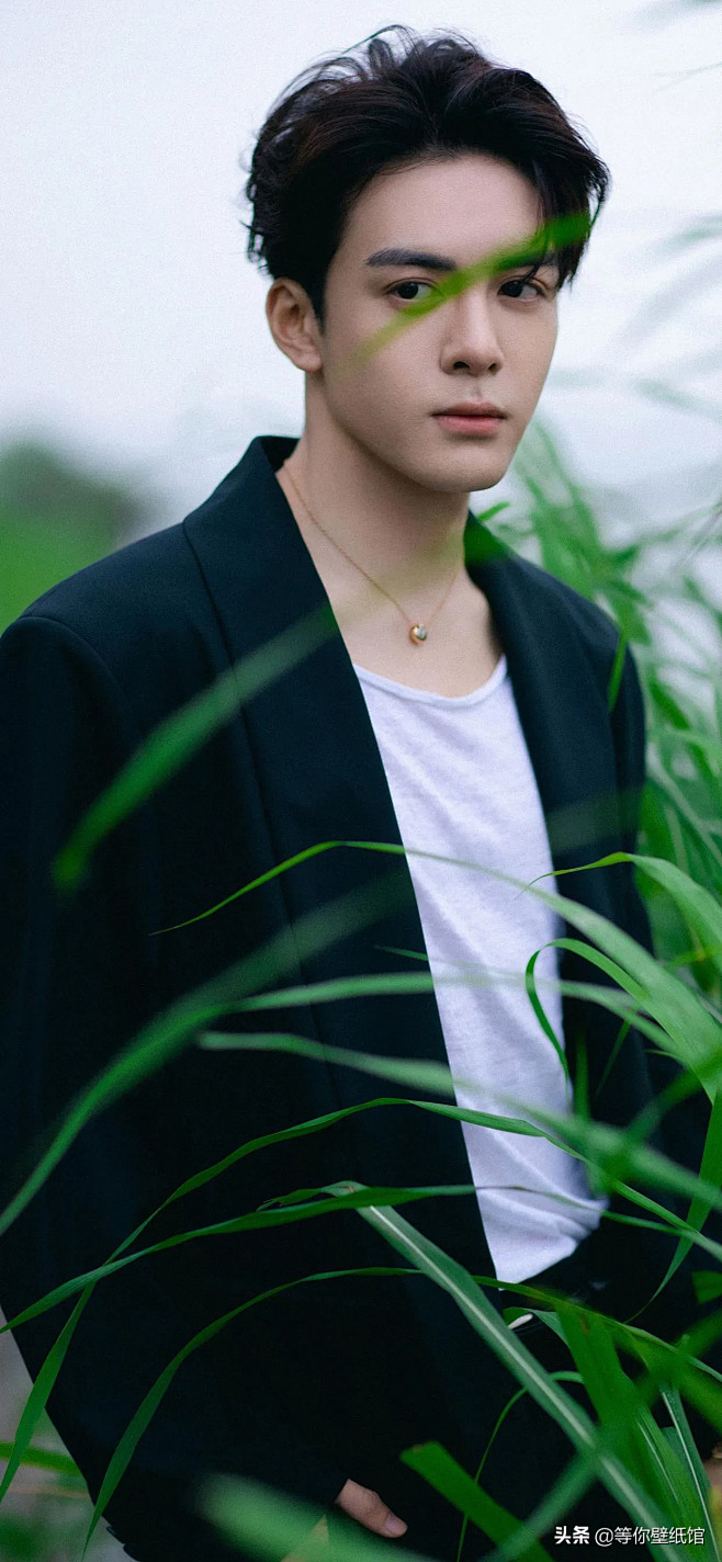 #明星壁纸#曾舜晞
