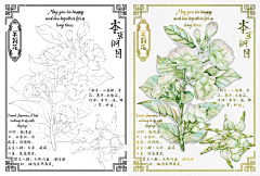 twinphanminh采集到HOA