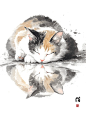 插画｜水墨猫3 - 小红书