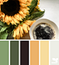 Design Seeds : Your daily dose of inspiration ... for all who love color.