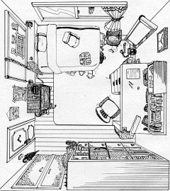 _多肉阿薇采集到场景
