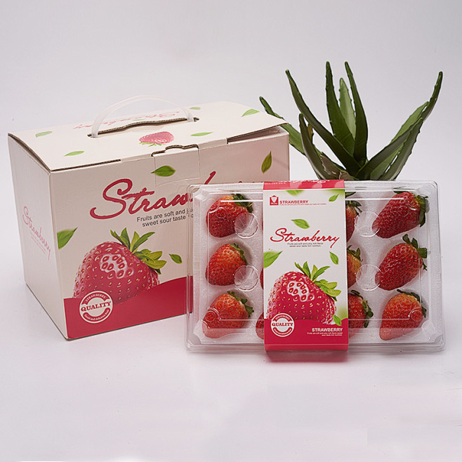 一个盒子草莓包装纸盒草莓手提礼盒瓦楞草莓快递盒纸箱草莓盒淘宝网