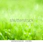 abstract background green bokeh circles - stock photo