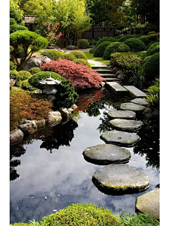 Mark39采集到庭院-水景鱼池
