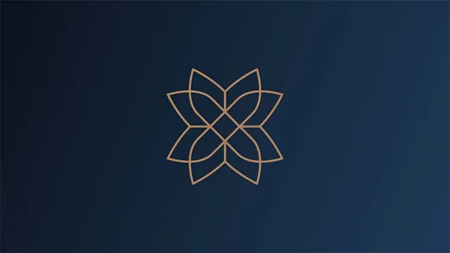 D案例 观宸-诞生于世界潮前 (11)-花瓣网