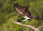 Photograph Landing Practice by Axel Hildebrandt on 500px