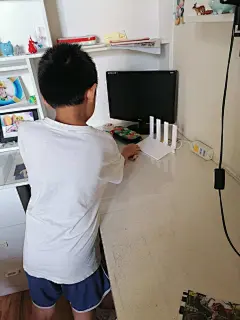 “大手拉小手”居家实践活动