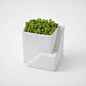 CJWHO ™ (Metaphys Planters Resemble Miniature Sustainable...) : Metaphys Planters Resemble Miniature Sustainable Buildings