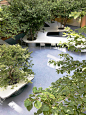 充满活力的友好型庭院：上海树桌花园/大观景观设计
