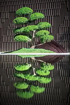 镜面水景