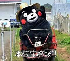 拥有一大波熊本熊表情包是一种什么样的体验？ - 搞笑 - 知乎