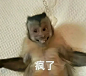 小红书 - 你的生活指南