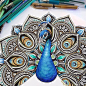 Mandala Peacock By @kellylahar - Check out @proartists for more amazing art: 