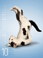 Amazon.co.jp: Yoga Cats 2014 : 文房具・オフィス用品