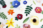 Set of flowers and plants made out of paper