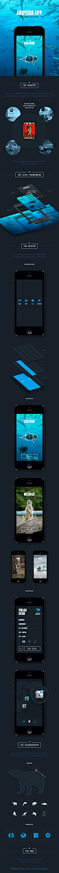 Anipedia app concept *** "The idea behind this iPhone app concept is to make augmented reality less scary and more educational for people. It is still technically not possible, but i would love to have something like this in my pocket. Just point a c